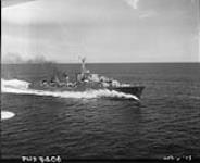 H.M.C.S. NOOTKA during full power trials Sept. 1950