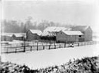 Uncle Elliot's barns [between 1889-1916]