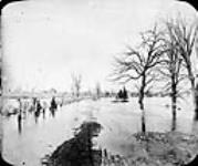 Rideau Flood [between 1889-1916]