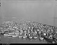Fishermen's Reserve round-up of Japanese fishing fleet off West Coast 27 Dec. 1941