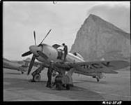 Sea Fury fighter re-oiled, 19th Carrier Air Group 7 Nov. 1950