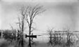 Spring inundation on the bank of St. Lawrence River 1865