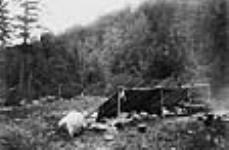 Camp de bûcherons au nord de la rivière des Outaouais 1865