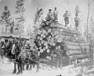 J.W. Lowry and Sons' champion load of 110 logs 30 Mar. 1891