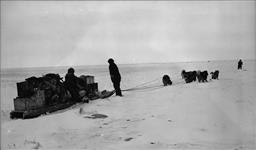 Inuit sled and dog team, unidentified location in the Canadian Arctic ca. 1935