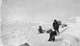 Inuit man with komatik and dog team ca. 1926-1943.