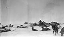 Inuit family loading a komatik (sled) with their dog team [Eskimo Point (now Arviat) when it was little more than the Anglican mission beside a cluster of HBC buildings.] [between 1926-1943].