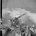 Twin 20mm. gun aboard unidentified motor torpedo boat of the Canadian-manned 29th MTB Flotilla, R.N May 1944