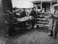 Dr. D.E. Robertson being carried to an R.C.A.F. aircraft after being rescued from the Moose River Mine. He is followed by Mrs. Robertson, Dr. W.E. Gallie, Mrs. Magill (?) and Mrs. Gallie 24 Apr. 1936