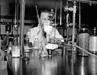 Lieut. N. R. Stephenson of Royal Canadian Navy Medical Research Unit in the laboratory of Banting Institute, University of Toronto Nov. 1943