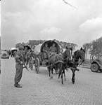 Sergeant E.J. Savage of the 4th Anti-Tank Regiment, Royal Canadian Artillery (R.C.A.), guarding surrendering German soldiers, Sneek, Netherlands, 28 May 1945 May 28, 1945.