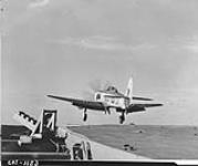 Aircraft Sea Fury take-off. 30 July 1953 30-Jul-53