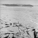 Canadian Government ship D'IBERVILLE makes it way through heavy polar ice - Twin Glacier trip In the background is Cape Herschel and Pim Island Aug. 1953