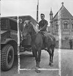 Sergeant T.F. McFeat with 'Bijous', captured German horse taken on strength by field Ambulance section, 9 C.I.B. Normandy, France, 6 July 1944 06-Jul-44