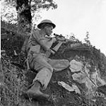 Private J.E. McPhee of The Seaforth Highlanders of Canada, who is armed with a sniper rifle, under German mortar fire, Foiano, Italy, 6 October 1943 October 6, 1943.