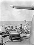 Gun crew sunbathing on "Y" gun of the infantry landing ship H.M.C.S. PRINCE DAVID, Italy, July 1944 July 1944