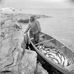 Inuk [Mark Sam Annanack] in canoe with catch of Arctic char, Ikkudliayuk, Labrador Aug. 1960.