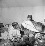 Tukpunga watches his mother Aggeeah conditioning sealskin by chewing it July 1951