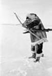 [Nokadlak hunting at Bathurst Inlet. Guns have replaced the bow and arrow for hunting.] 1949-1950