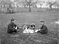 Two boys with dog and rabbits on the farm ca. 1910