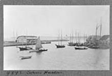 Souris Harbour 1910