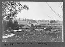 Mill near Montague 1910