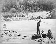 Indians catching salmon in Fraser River ca. 1889