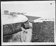 Fort No. 3 - Vue démontrant détérioration de tranchée (view of deteriorated trench) 21 jan. 1938