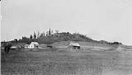 Farm of Mr. Knute Mellum, Norwegian settler, in the Salmon River district c.a.1927