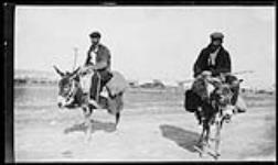 Two Greek men on mules 1916