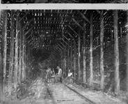 Intercolonial Railway. Interior of a snow shed 1872-1875