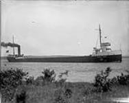 Ship RICHARD J. REISS 1919