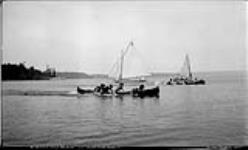 "Four in Canoe Hand Paddling Race", Morning House Regatta, Muskoka Lakes 10 Aug. 1907