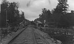 Wagon crossing C.P.R. (Canadian Pacific Railway) tracks, Muskoka Lakes ca. 1907