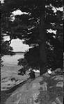 View down the Musquosh River, Muskoka Lakes ca. 1907