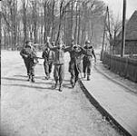 Personnel of the 4th Canadian Armoured Division capturing German paratroopers 10 Apr. 1945