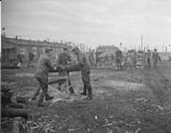Cameron Highlanders of Ottawa guarding internees at Esterwegen internment camp. German internees cutting and defoliating trees 30 Ot. 1945