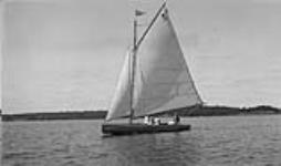 Regatta, dinghy sailing race, Rosseau Lake, Muskoka Lakes 1908