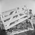 Royal Canadian Electrical amd Mechanical Engineers Craftman Ernest Simpson uncrates motorcycle as part of the corps' 'Demothing' Equipment functions 22 Nov. 1950