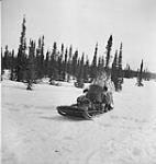 Personnel of The New Brunswick Rangers patrolling on a motorized toboggan May 1943