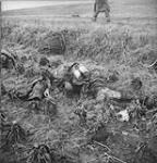 Dead German soldiers 8 Feb. 1945