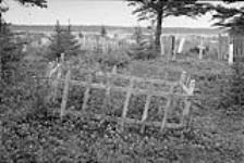 Graveyard 1973