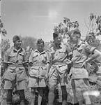 Award winners in Princess Patricia's Canadian Light Infantry during action in Sicily:(L-R)Private Wilfred Reilly, Major R.C. Coleman, Lieutenant Rex Carey, & Corporal Bob Middleton 17 Aug. 1943