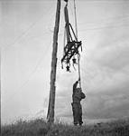 Men of the Royal Canadian Corps of Signals install communications lines 09-Jul-44
