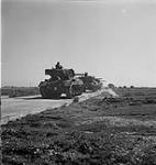 Tanks of the 2nd Armoured Regiment (Lord Strathcona's Horse (Royal Canadians)) on the firing range 20 Apr. 1943