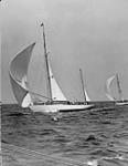 Royal Canadian Navy yacht PICKLE (from a copy photograph) 19 Dec. 1955?