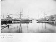 Ships in harbour 1877 - 1885