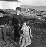 Three unidentified Inuit children 1948