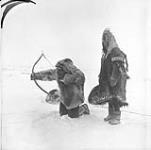An Inuit woman watching her husband use a bow made of muskox horn 1950