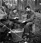 Privates R.E. Skinner and S. Covell of The Queen's Own Cameron Highlanders of Canada peeling potatoes outside the kitchen tent in the Hochwald, Germany, 5 March 1945 Marh 5, 1945.